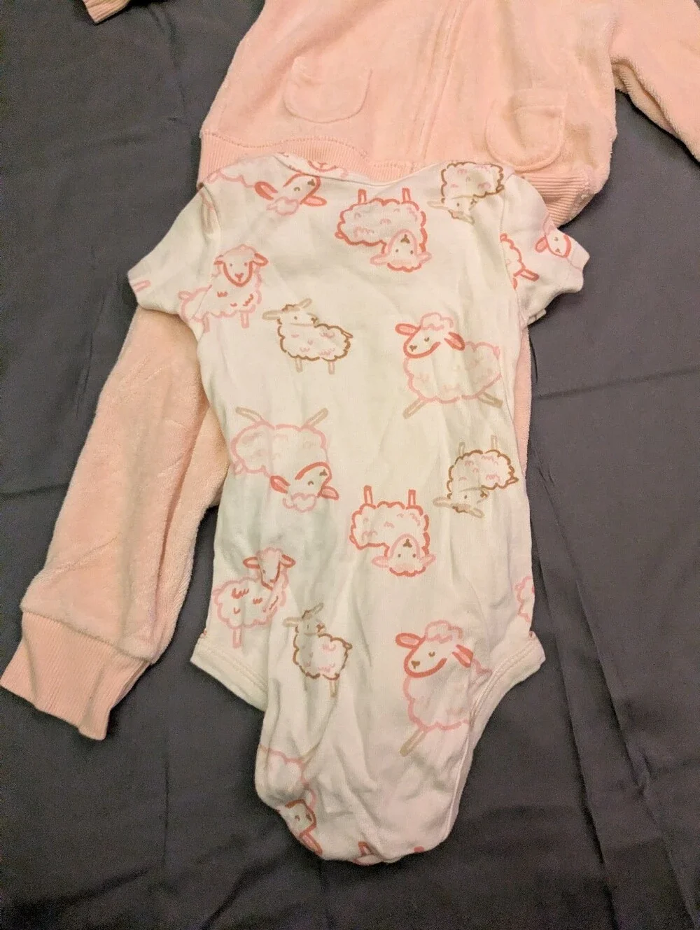 baby sheep set